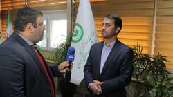 کاهش 30 درصدی تعرفه صادرات پیاز